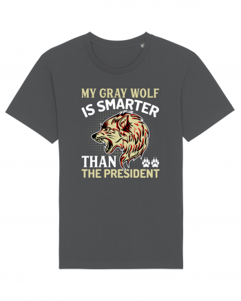 My Gray Wolf Is Smarter Than The President Anthracite