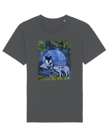 Shagor / The Sea Anthracite