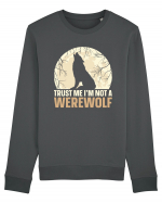 Trust me I'm not werewolf Bluză mânecă lungă Unisex Rise