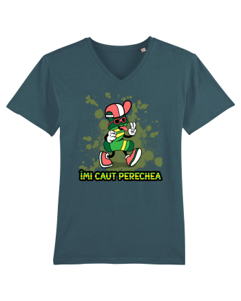 Imi caut perechea Stargazer