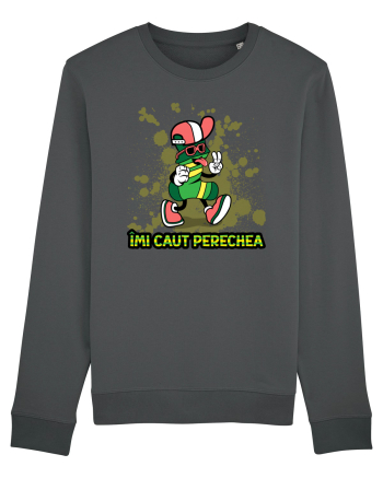 Imi caut perechea Anthracite