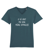 O să arăt mai bine mâine Tricou mânecă scurtă guler V Bărbat Presenter