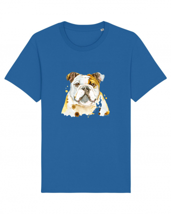 Bulldog Royal Blue