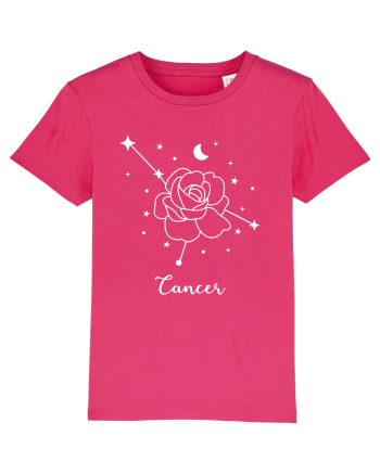Cancer Rac Raspberry
