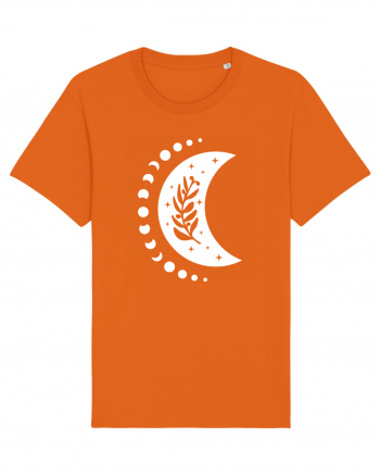 Fazele Lunii Moon Phases Bright Orange