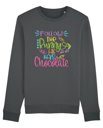 Follow the Bunny Anthracite