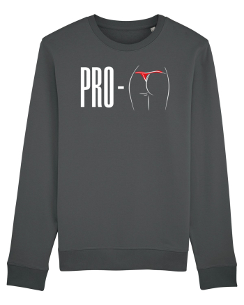 Profund Anthracite