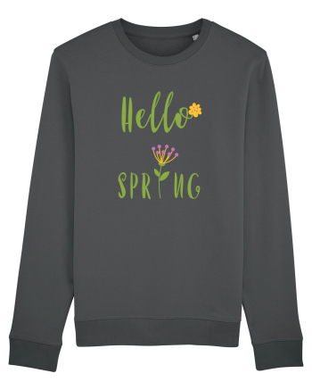Hello Spring Anthracite