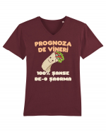 Prognoza de vineri: 100% șanse de-o șaorma Tricou mânecă scurtă guler V Bărbat Presenter