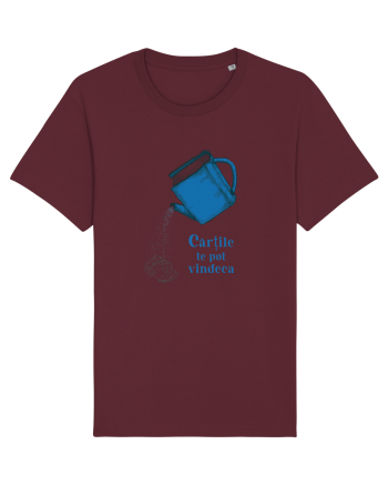 Cărțile te pot vindeca  Burgundy