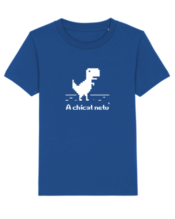 A chicat netu' Majorelle Blue