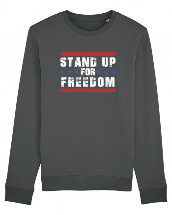 Stand Up for Freedom Anthracite