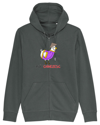Pui „chinezesc• Anthracite