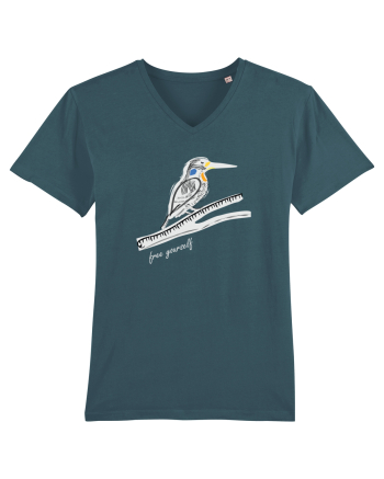 Bird Stargazer