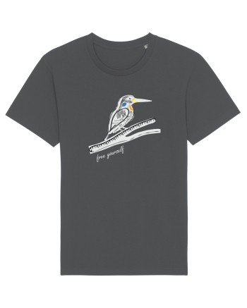Bird Anthracite
