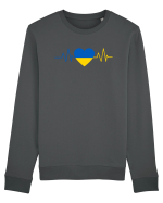<3 Ucraina Bluză mânecă lungă Unisex Rise