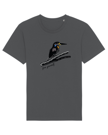 Bird Anthracite