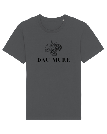 Dau mure Anthracite