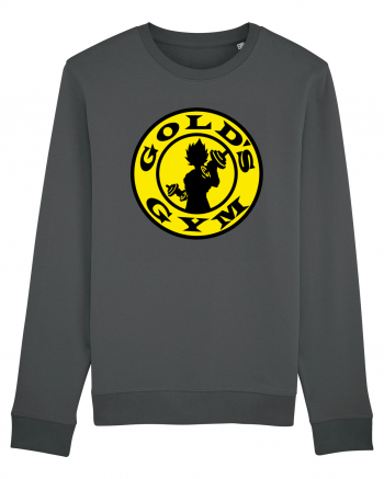 Gold's Gym Anthracite