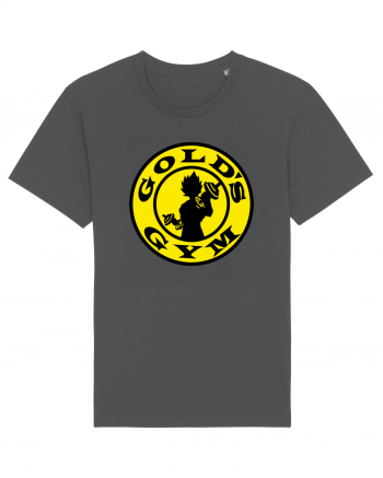 Gold's Gym Anthracite