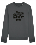 Alexa, Bring Me A Treat Bluză mânecă lungă Unisex Rise