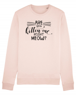 Are You Kitten Me Right Meow Bluză mânecă lungă Unisex Rise