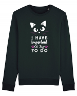 I have Important Cat Stuff To Do Bluză mânecă lungă Unisex Rise