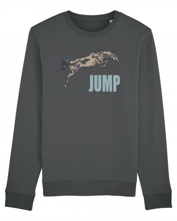 Jump Anthracite