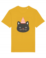 Party Cat Tricou mânecă scurtă Unisex Rocker