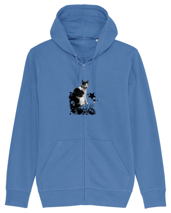 Viata de pisica  Bright Blue