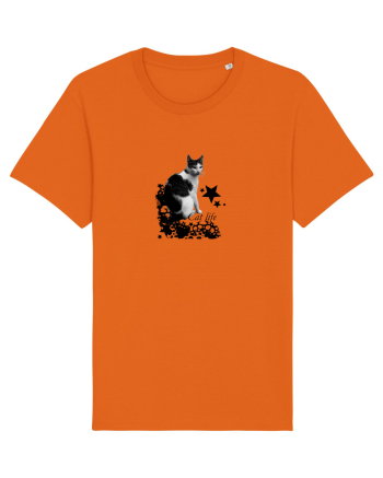 Viata de pisica  Bright Orange