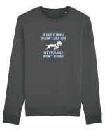 PIT BULL Bluză mânecă lungă Unisex Rise