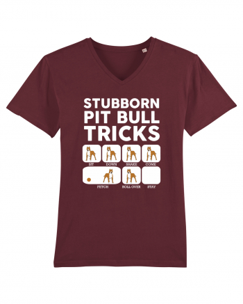 PIT BULL Burgundy