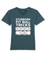 PIT BULL Tricou mânecă scurtă guler V Bărbat Presenter