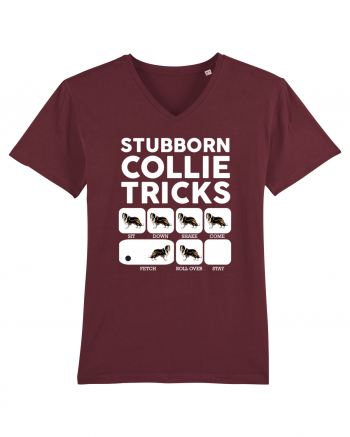 COLLIE Burgundy