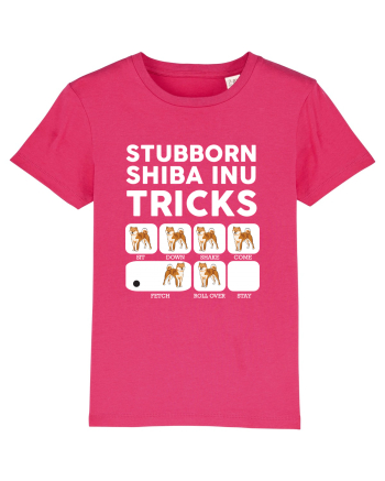 SHIBA INU Raspberry
