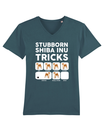 SHIBA INU Stargazer