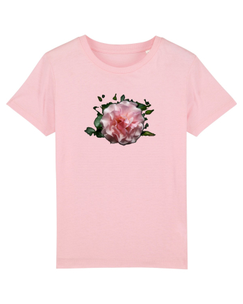 MIracolul trandafirului Cotton Pink