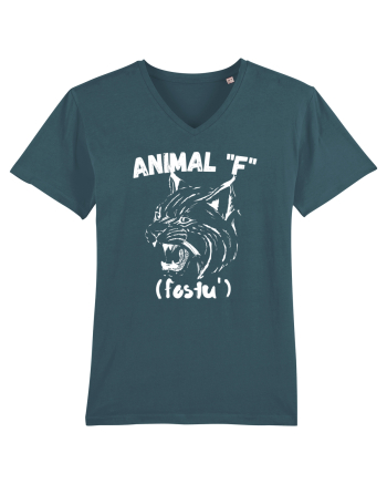 Animal F fostu' Stargazer