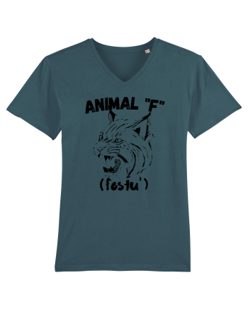Animal F fostu' Stargazer