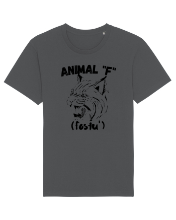 Animal F fostu' Anthracite