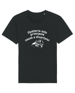 Căsătoria este principala cauză a divorțului Tricou mânecă scurtă Unisex Rocker