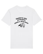 Căsătoria este principala cauză a divorțului Tricou mânecă scurtă Unisex Rocker