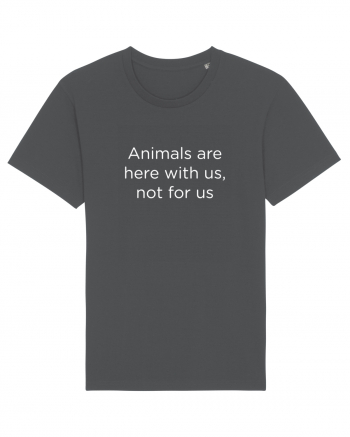 Animals are not for us. Anthracite