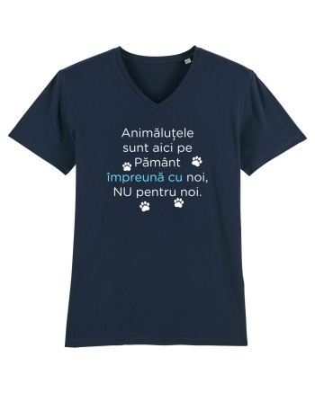 Aici Impreuna French Navy