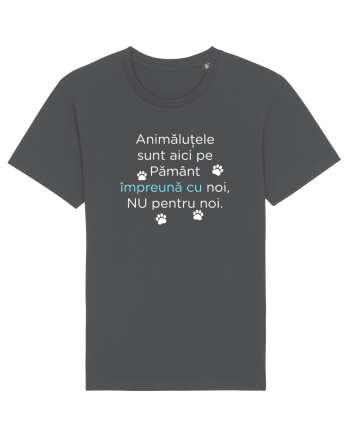 Aici Impreuna Anthracite
