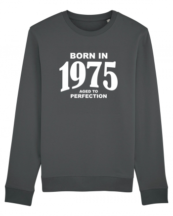 BORN IN 1975 Anthracite