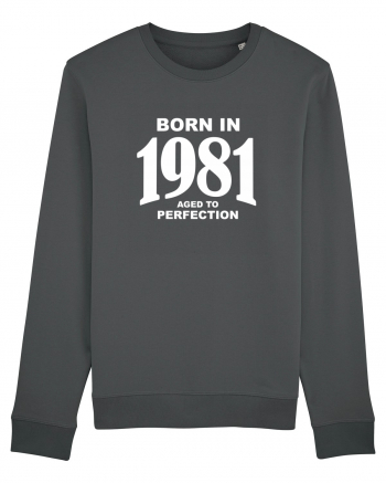 BORN IN 1981 Anthracite