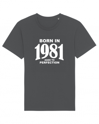 BORN IN 1981 Anthracite