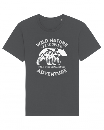 Mountain Bear Anthracite